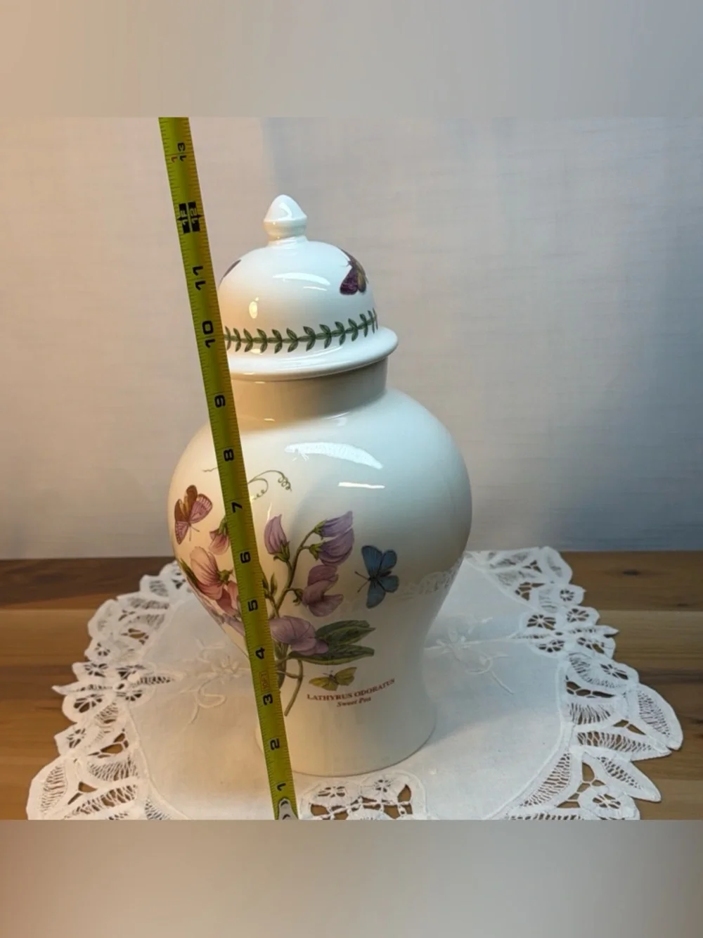 VTG‎ Portmerion Botanic Garden 13